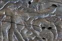 fr09-08-14_005-z