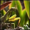 fr10-09-25_034-c