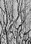 fr07-12_31_002-nb