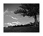 mar02_10_36-Silosnb